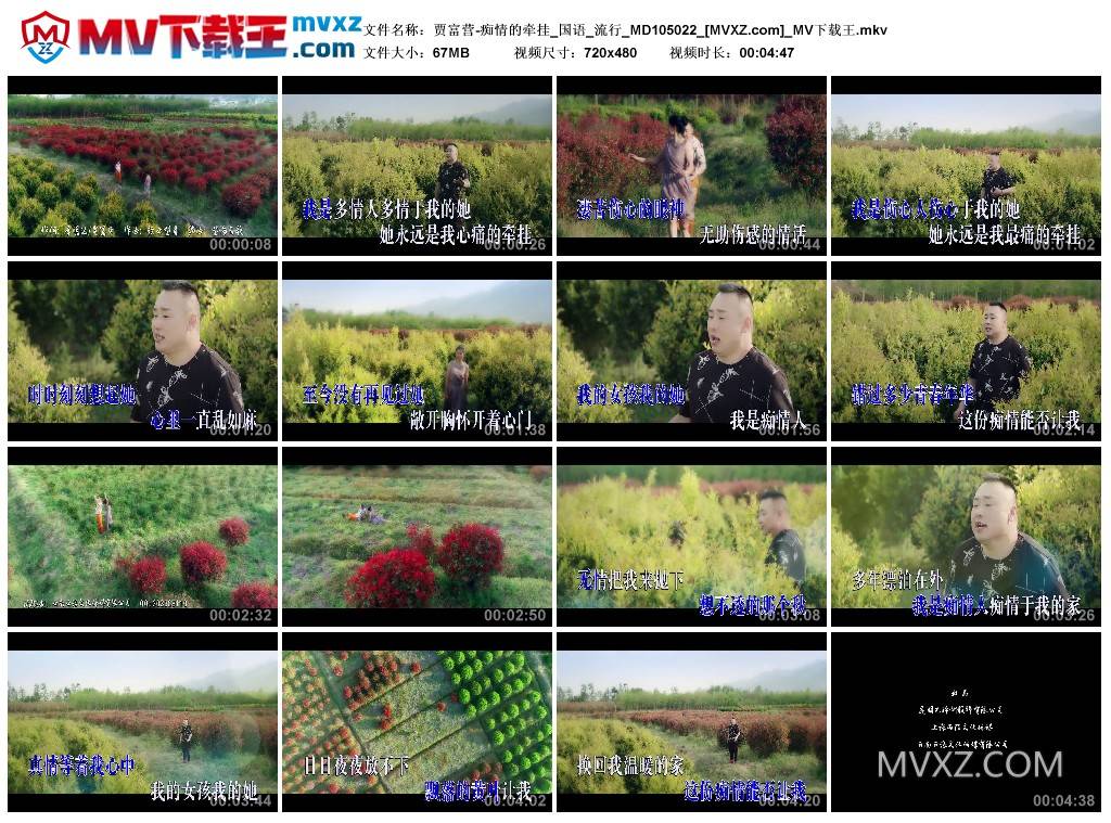 贾富营-痴情的牵挂_国语_流行_MD105022